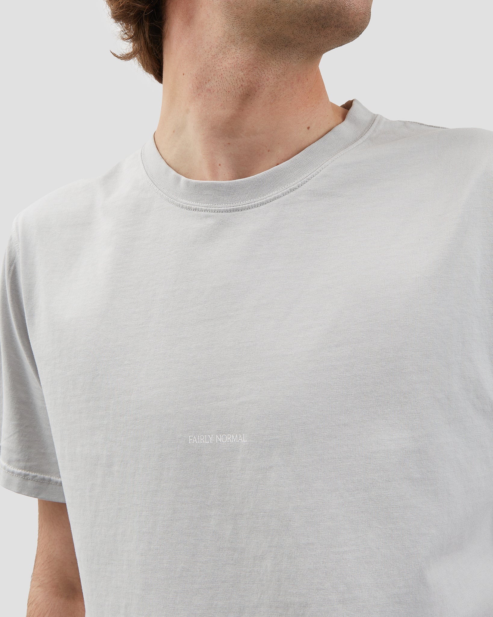 Core Logo T-Shirt Light Grey