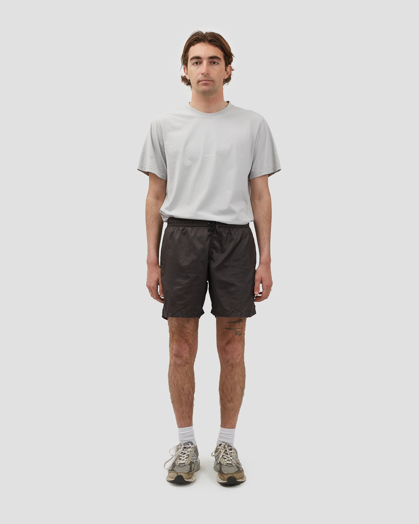 Field Nylon Shorts Brown