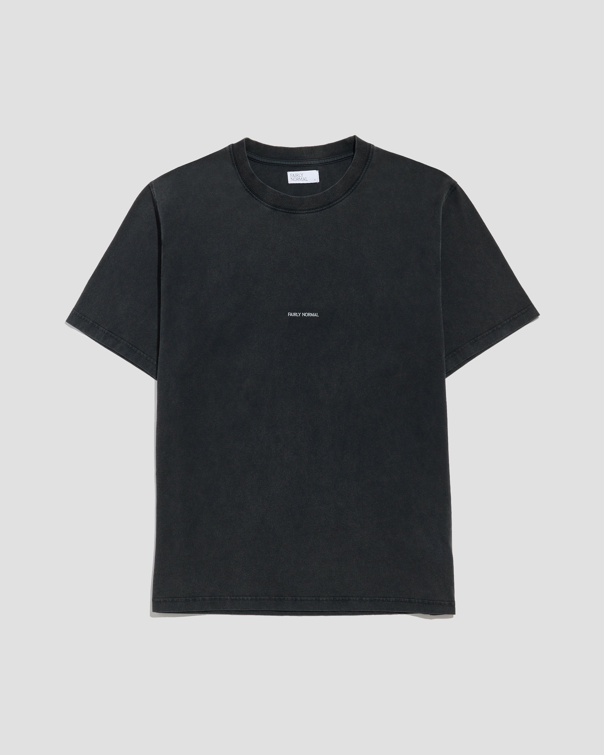 Core Logo T-Shirt Washed Black