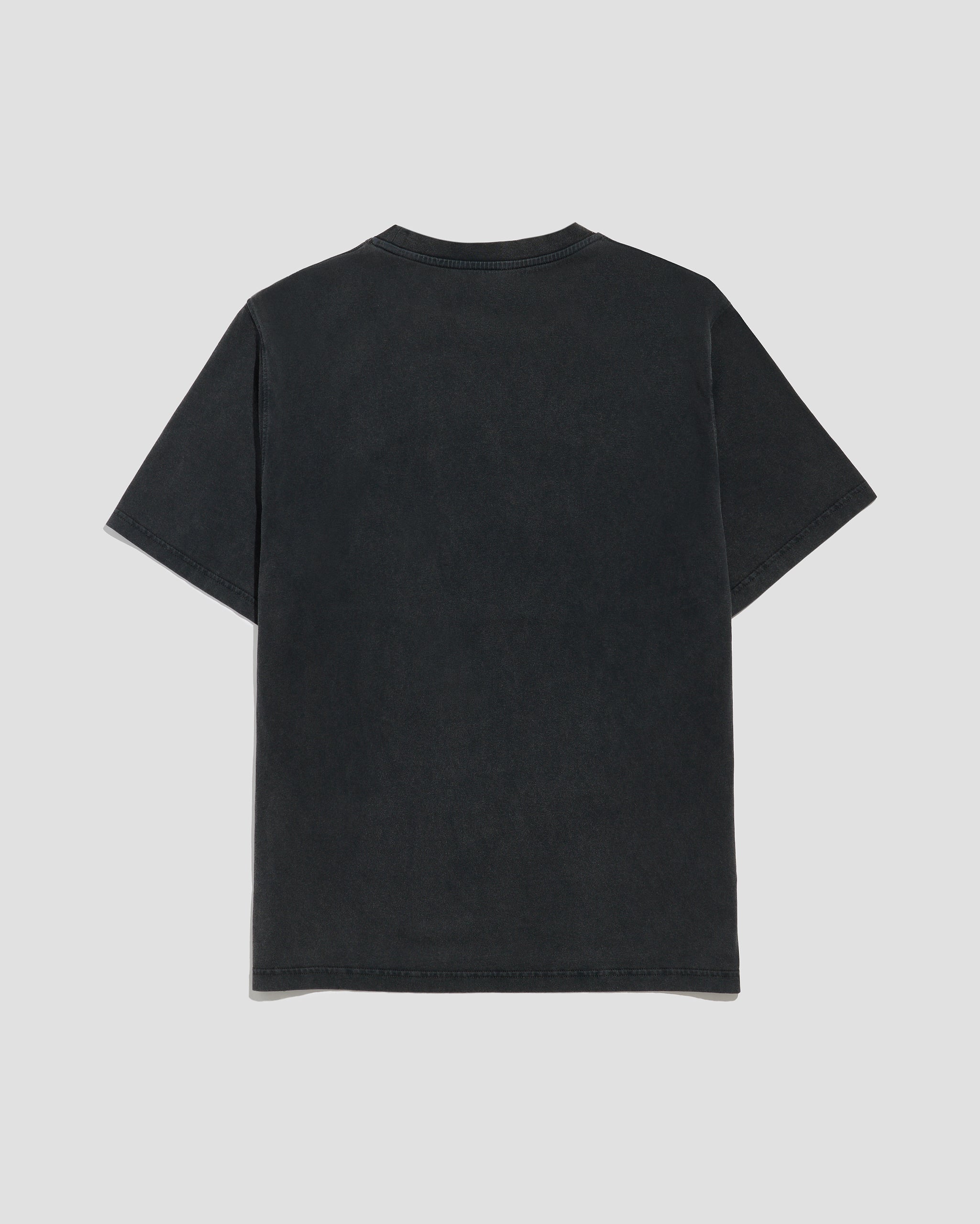 Core Logo T-Shirt Washed Black