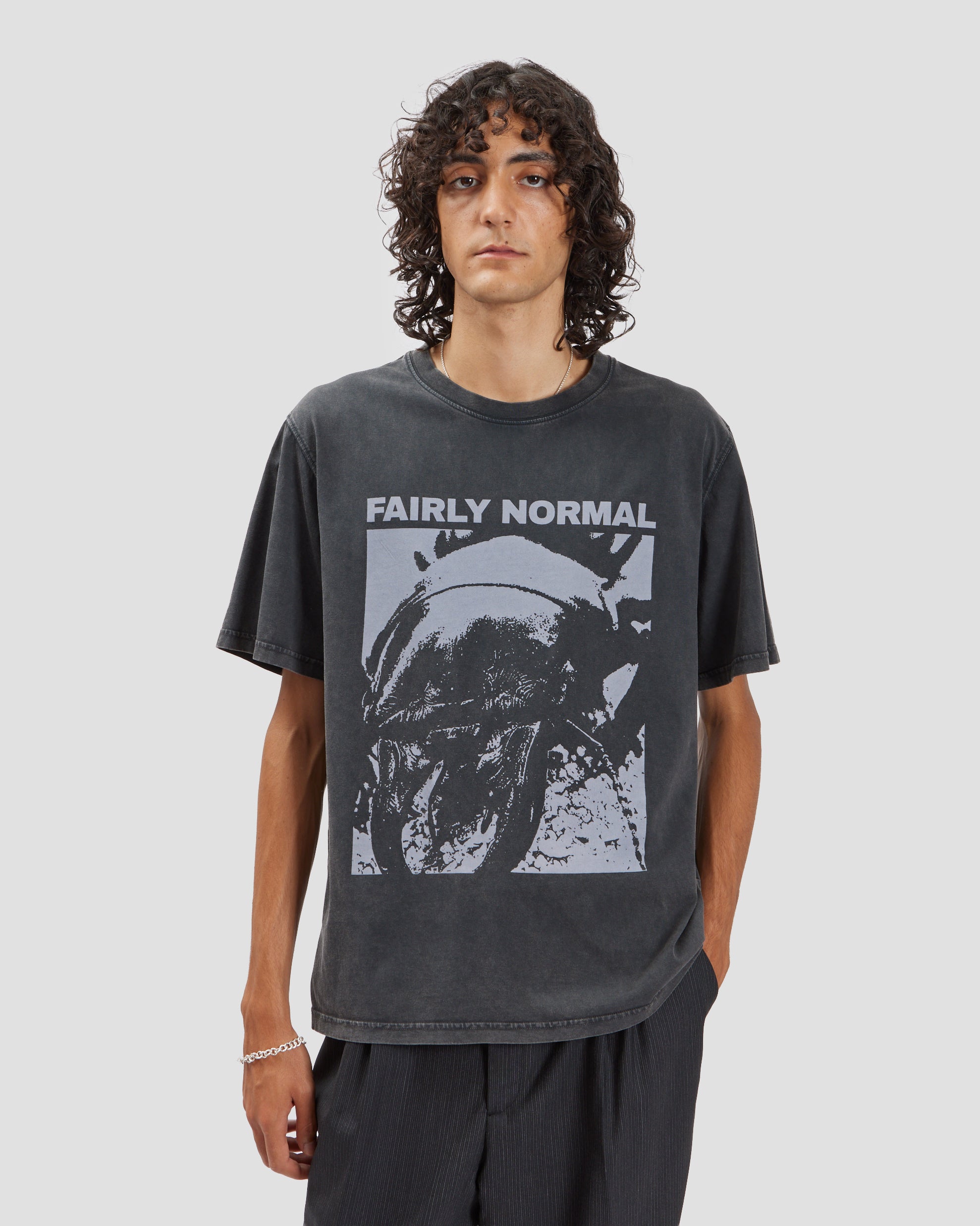 Beetle T-Shirt Washed Black